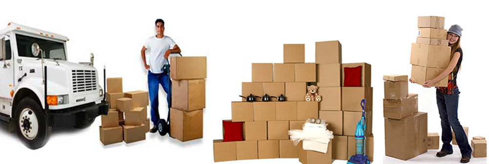 Best Movers And Packers Company In Dubai
