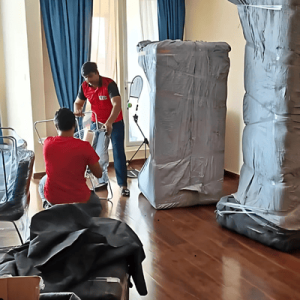 Professional House Movers and Packers in Dubai