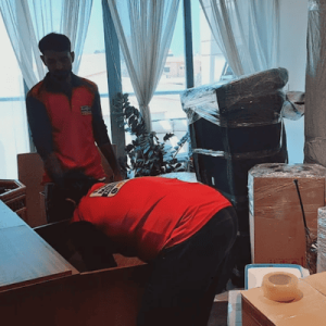 Best House Movers and Packers in Dubai
